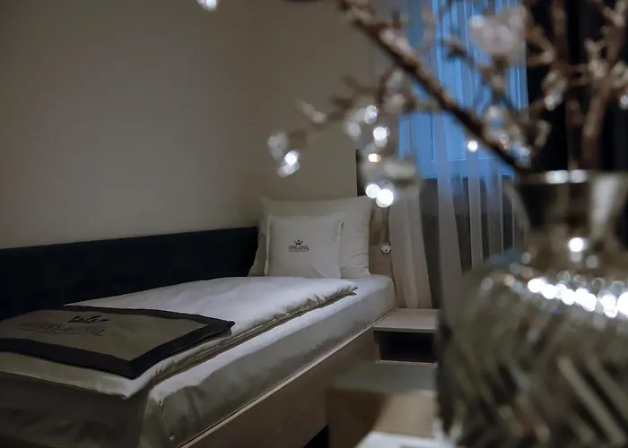 酒店 Royal 卡尔斯鲁厄